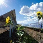 afrika-nin-enerji-krizinde-gunes-enerjisi-tartismasi-1772092879