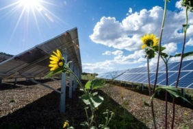 afrika-nin-enerji-krizinde-gunes-enerjisi-tartismasi-1772092879