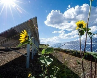 afrika-nin-enerji-krizinde-gunes-enerjisi-tartismasi-1772092879