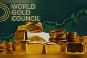 dunya-altin-konseyi-altindaki-yukselisi-destekleyen-7-gelismeyi-acikladi-1772194430