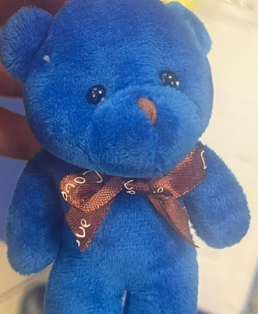 bakanlik-duyurdu-bir-pelus-oyuncak-hakkinda-toplatma-karari-alindi-1772614899