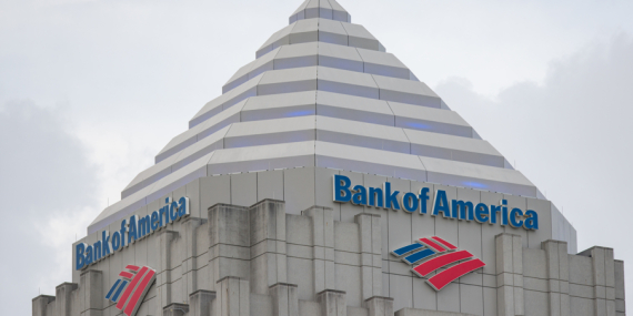 BofA, Sasa Polyester Hisselerini Sattı