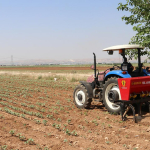 dmm-den-gubre-krizi-iddialarina-yanit-1774350520