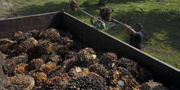 enerji-soku-bitki-bazli-yakitlara-da-sicradi-1773135669