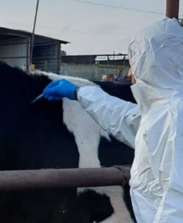 guney-afrika-turkiye-den-sap-asisi-ithal-etti-1772461449