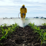 iran-savasi-ve-yukselen-petrol-fiyatlari-pestisit-maliyetlerini-vurdu-1774513328