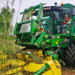 kenevir-uretim-izni-verilen-21-il-aciklandi-1774168028