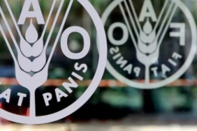 kuresel-gida-fiyatlarinda-5-aylik-dusus-serisi-sonlandi-1772795852