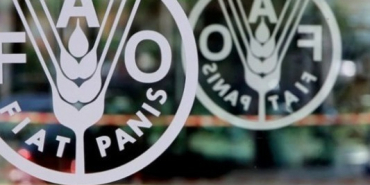 kuresel-gida-fiyatlarinda-5-aylik-dusus-serisi-sonlandi-1772795852