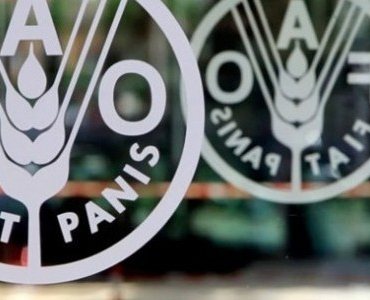 kuresel-gida-fiyatlarinda-5-aylik-dusus-serisi-sonlandi-1772795852