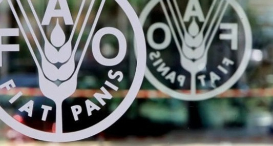 Küresel gıda fiyatlarındaki 5 aylık düşüş sona erdi