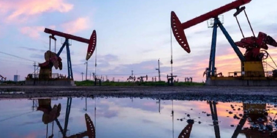 Sekiz OPEC+ ülkesi günlük üretimi 206 bin varil artırdı