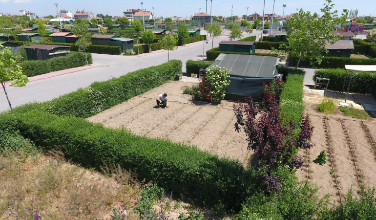 tarim-arazilerinde-hobi-bahcesi-donemi-sona-eriyor-1773736018