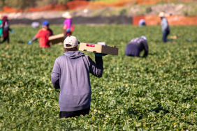 tarim-iscilerine-en-yuksek-odeme-yapilan-iller-belli-oldu-1772708482