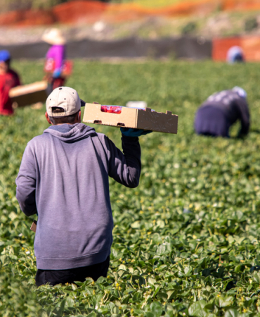 tarim-iscilerine-en-yuksek-odeme-yapilan-iller-belli-oldu-1772708482