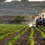 tuik-acikladi-ciftcinin-enflasyonu-belli-oldu-1773817785