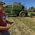 abd-de-ciftciler-rota-degistirdi-misirdan-soyaya-kayis-basladi-1775051106