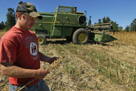 abd-de-ciftciler-rota-degistirdi-misirdan-soyaya-kayis-basladi-1775051106