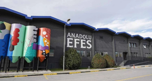 Anadolu Efes, Tariş Üzüm Hisselerini Satın Alıyor