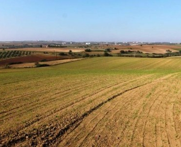 arazi-talebi-2026-yilina-dususle-basladi-1776677911