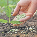 iki-gubre-cesidinde-daha-gumruk-vergisi-sifirlandi-1777119790