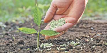 iki-gubre-cesidinde-daha-gumruk-vergisi-sifirlandi-1777119790