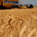 kuresel-tarim-piyasalarinda-trump-belirsizligi-1775116087