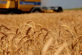 kuresel-tarim-piyasalarinda-trump-belirsizligi-1775116087