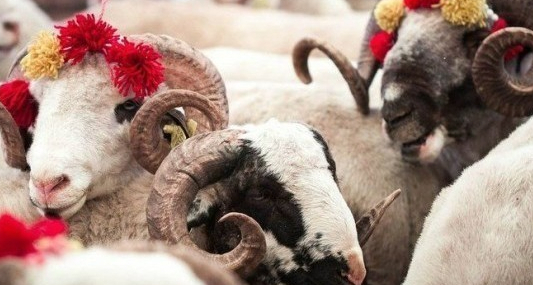 Vekaletle Kurban Kesim Ücretleri Duyuruldu