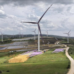 yenilenebilir-enerjide-cin-ruzgari-1776687295
