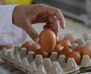 yumurta-fiyatlari-mayis-cukuruna-erken-dustu-1777281791