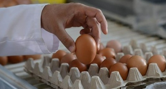 Yumurta fiyatları mayıs seviyesine erken indi