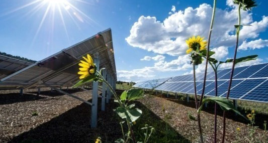 Bakan Bayraktar: Güneş Enerjisi Yıl Sonunda Zirvede
