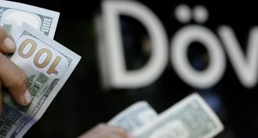Hollandalı banka dolar/TL için hedeflerini duyurdu