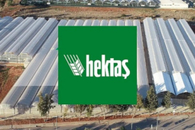 oyak-tan-hektas-ta-hisse-satisi-karari-1778483147