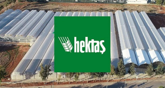 OYAK, Hektaş hisselerini satma kararı aldı