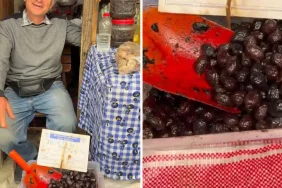 ticaret-bakanligi-fahis-fiyatli-zeytin-satisi-icin-harekete-gecti-1780122938