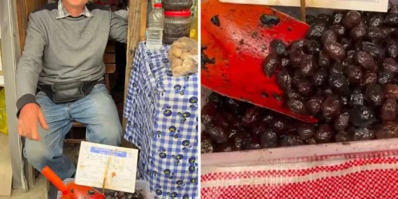 Ticaret Bakanlığı zeytinde yüksek fiyat için devrede