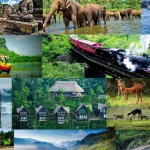 turk-vatandaslari-icin-sri-lanka-ya-vizesiz-seyahat-imkani-1779805447