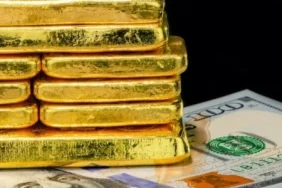 bayram-haftasinda-dusus-surdu-merkez-bankasi-rezervleri-160-milyar-dolarin-altina-indi-1780573262