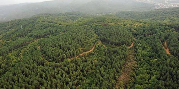 Bilecik’te yayla ve orman alanlarına giriş yasaklandı