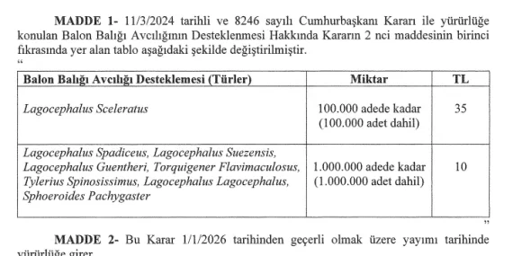 Balon balığı destek limitleri yeniden düzenlendi