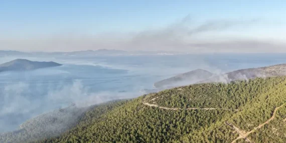 Milas’ta Orman Yangını: 1120 Kişi Tahliye Edildi