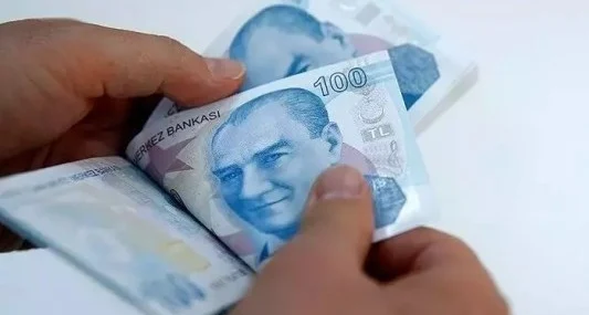 Engelli ve eski hükümlülere hibe başvuruları açıldı