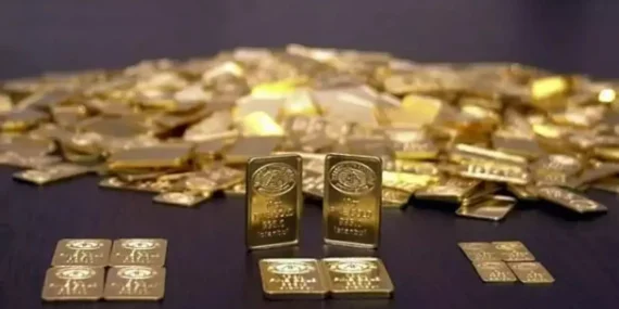 Hazine, altın tahvili ve kira sertifikası sunuyor